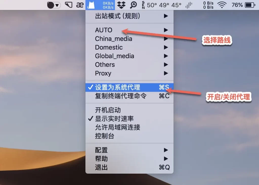 clashx pro system proxy